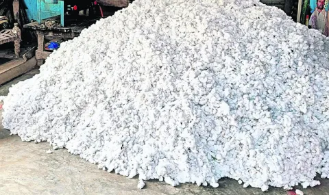 పత్తి కొనుగోళ్లకు గ్రీన్‌ సిగ్నల్‌