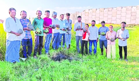 ఉత్సాహంగా ‘దీపావళి’ బతుకమ్మ