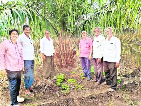 యాజమాన్య పద్ధతులు పాటించాలి