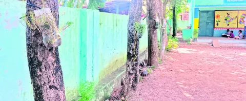 ●ఇలా కూడా వాడొచ్చా..!