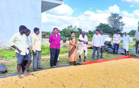 రైతుల