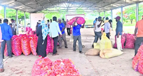 నేరుగా ఉల్లి విక్రయాలు