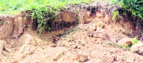 కుడి కాలువ గట్టుకు తూట్లు 