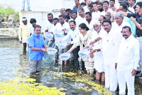 మత్స్యకారుల అభ్యున్నతికి ప్రభుత్వం కృషి