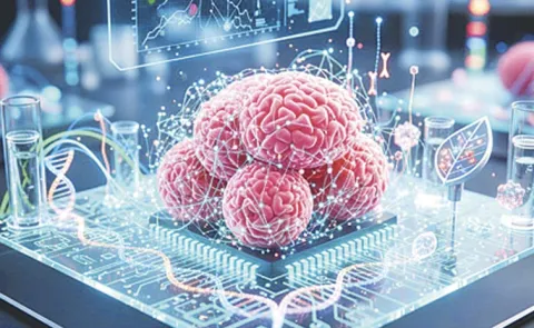 Swiss scientists grow mini-brains to power future computers15