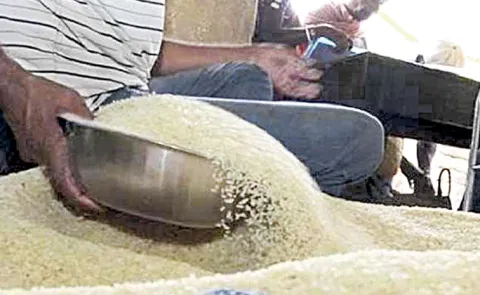 Coalition Govt Negligence in Distribution of Free Rice by Center