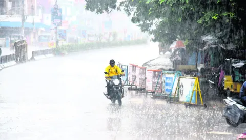 ఎడతెగని వాన 