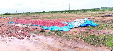 ఆశలు కుళ్లిపోతున్నాయి!