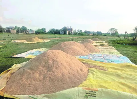 పంట ఆ