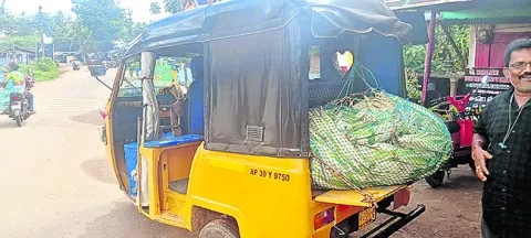 బీల భ