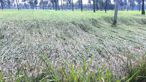 అన్నదాత వెన్నులో వణుకు 