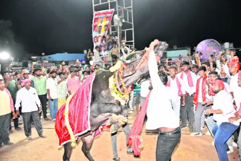 సదర్‌ సంబురం