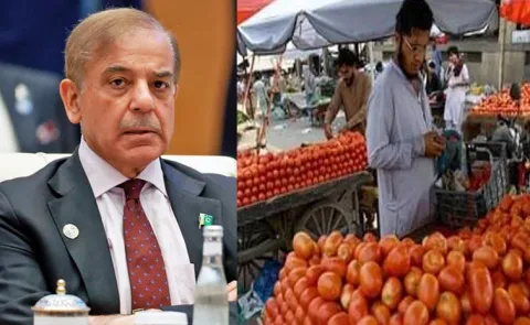 Tomato price 600 per kg in Pakistan