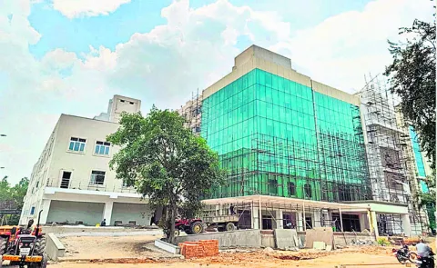 Coalition government conspiring to build a private cancer hospital under the auspices of a Dubai company