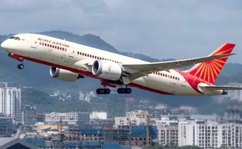 Bird Hit After Take Off: Air India Flight Returns To Nagpur