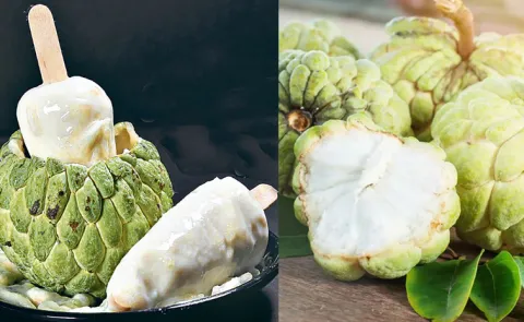 tip of the day custard apple simple and tasty recipes