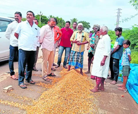 ప్రభుత్వమే కొనుగోలు చేయాలి