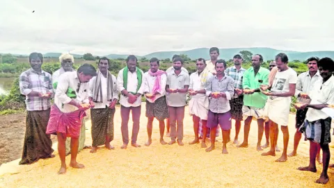 మొక్కజొన్న రైతులను ఆదుకోవాలి