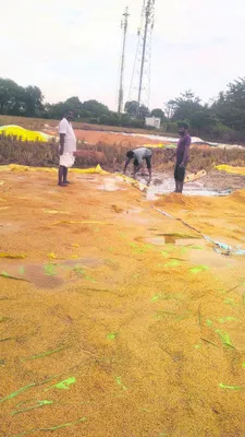 వర్షం