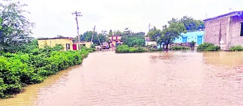 వణికి