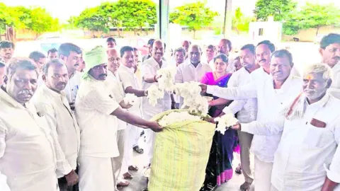 పత్తి కొనుగోళ్లను సరళీకృతం చేయాలి