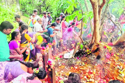 భక్తిశ్రద్ధలతో నాగుల చవితి 