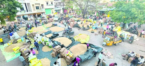 సోయా రైతు చిత్తు..!