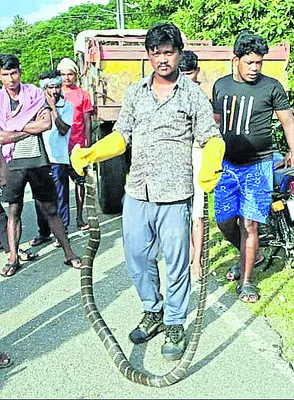 భువనేశ్వర్ విమానాశ్రయం డీజీఎం అరెస్టు