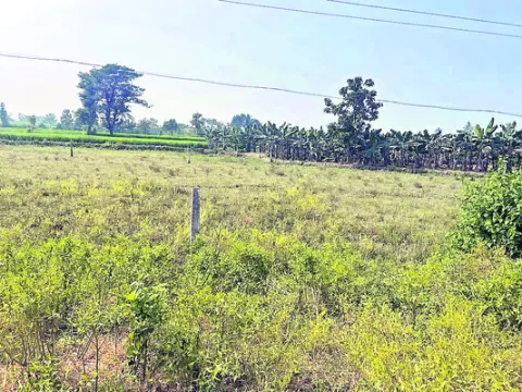 ఆ గ్ర
