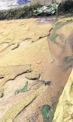 హడలెత్తిస్తున్న వాన