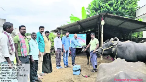 పాడి సంపదను పెంచుకోవాలి 