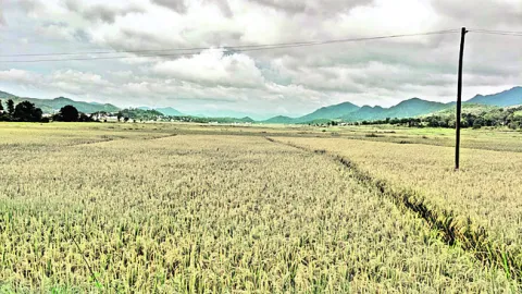 గిరి