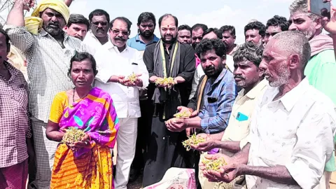 మొక్కజొన్న రైతుల కష్టాలు కనిపించవా!