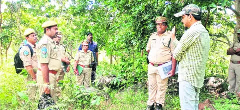 అడవులను సంరక్షించుకోవాలి