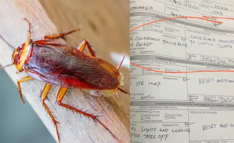 Air India cabin defect log entry goes viral,about Cockroach
