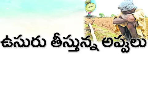 జిల్లాలో రైతు ఆత్మహత్యల వివరాలు