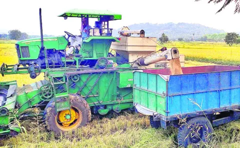 చేతికొస్తున్న పంట