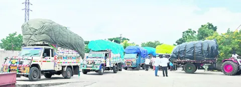 పత్తి