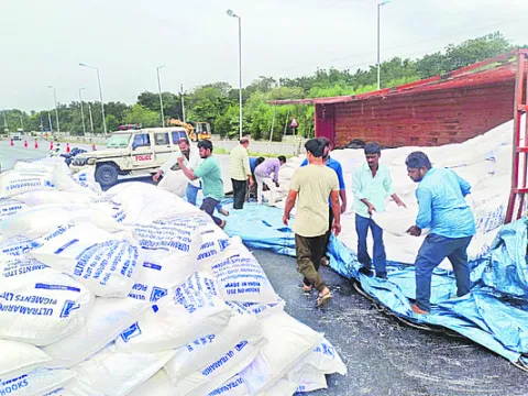 బోల్తా కొట్టించిన అత్యవసర బ్రేకు 