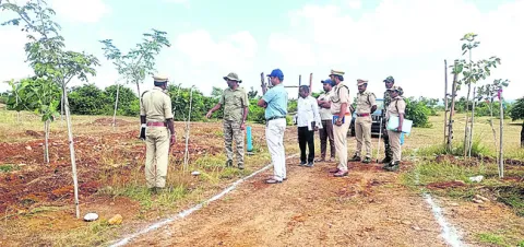 మొక్కల సంరక్షణ అందరి బాధ్యత