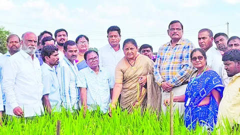 నాణ్యమైన విత్తనాలతో అధిక దిగుబడి