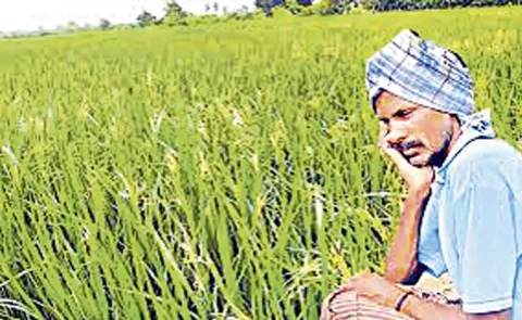 AP Farmers Fires On Chandrababu Govt: Andhra pradesh