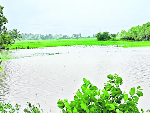 రైతు ఆశలపై ‘మోంథా’ నీళ్లు