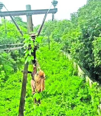 విద్యుత్‌ సరఫరా పునరుద్ధరణకు సిద్ధం