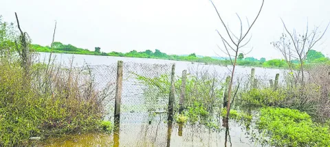 చెరువులు చెర! 