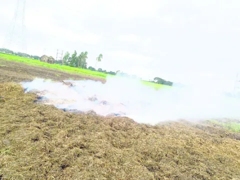 హడలెత్తించిన పొగ 
