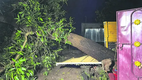 భారీ గాలులతో నేలకూలిన విద్యుత్‌ స్తంభాలు, చెట్లు 
