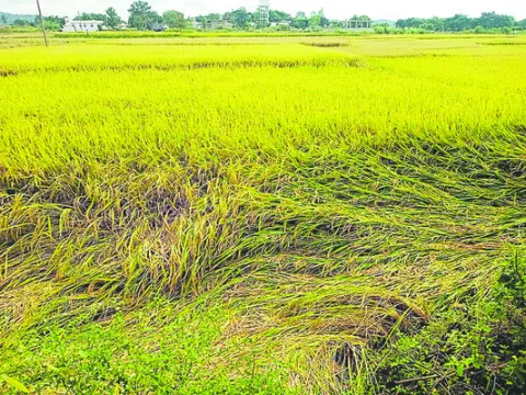 పొంచిన మరో ముప్పు