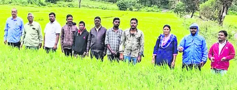 వరి రైతులూ.. అప్రమత్తత అవసరం