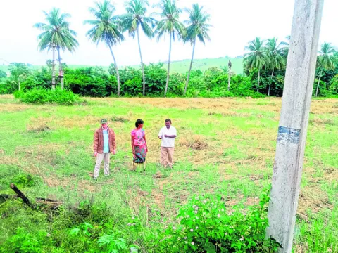 దెబ్బతిన్న పంటలు